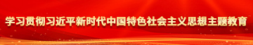 老年人草逼免费视频学习贯彻习近平新时代中国特色社会主义思想主题教育